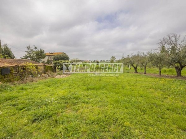 terreno agricolo in vendita a Morrovalle in zona Trodica