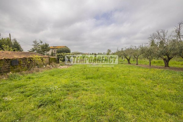 terreno agricolo in vendita a Morrovalle in zona Trodica