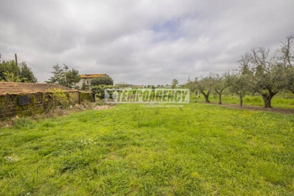 casa indipendente in vendita a Morrovalle in zona Trodica