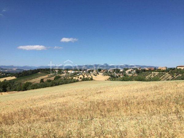 terreno agricolo in vendita a Morrovalle