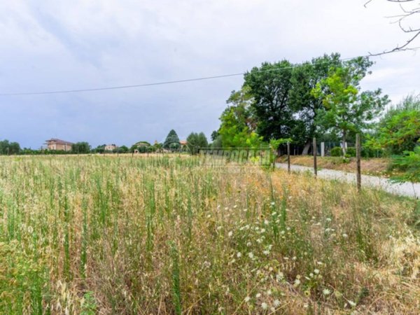 negozio in vendita a Morrovalle