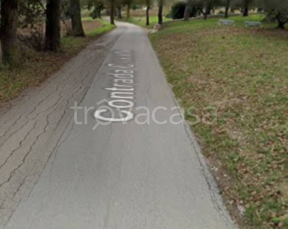 terreno agricolo in vendita a Morrovalle