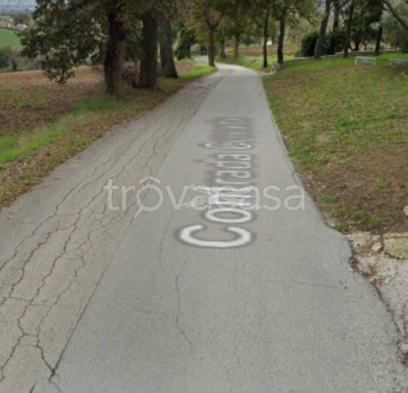 terreno agricolo in vendita a Morrovalle