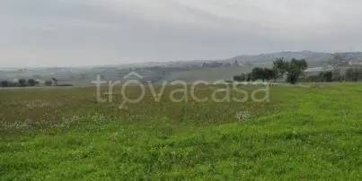 casa indipendente in vendita a Morrovalle