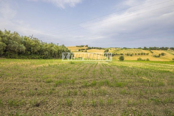 terreno agricolo in vendita a Morrovalle in zona Trodica