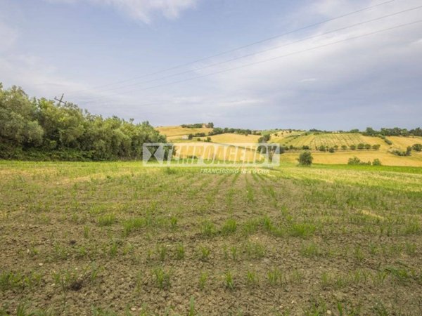 terreno agricolo in vendita a Morrovalle in zona Trodica