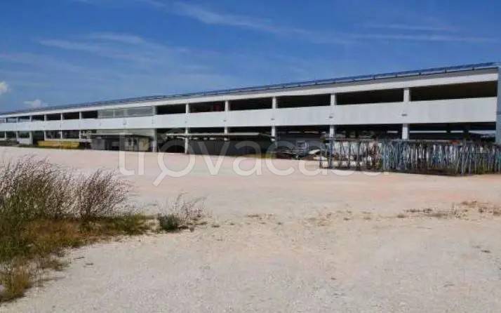 locale commerciale in vendita a Morrovalle in zona Trodica