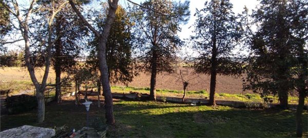 appartamento in vendita a Morrovalle in zona Trodica