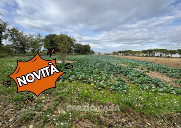 terreno agricolo in vendita a Morrovalle in zona Trodica