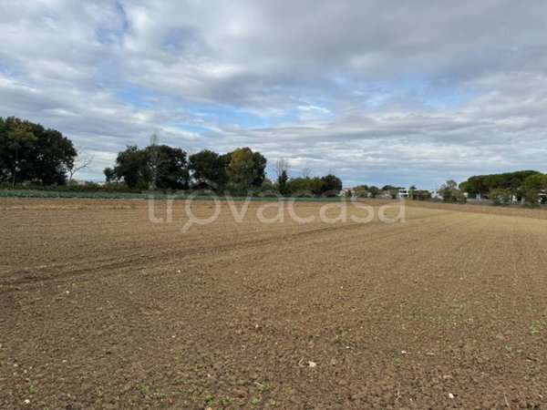 terreno agricolo in vendita a Morrovalle in zona Trodica