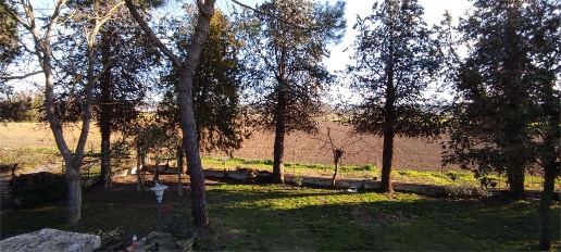 appartamento in vendita a Morrovalle in zona Trodica