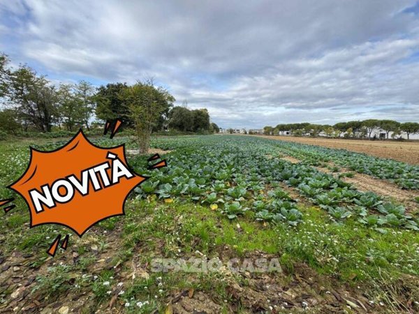terreno agricolo in vendita a Morrovalle in zona Trodica