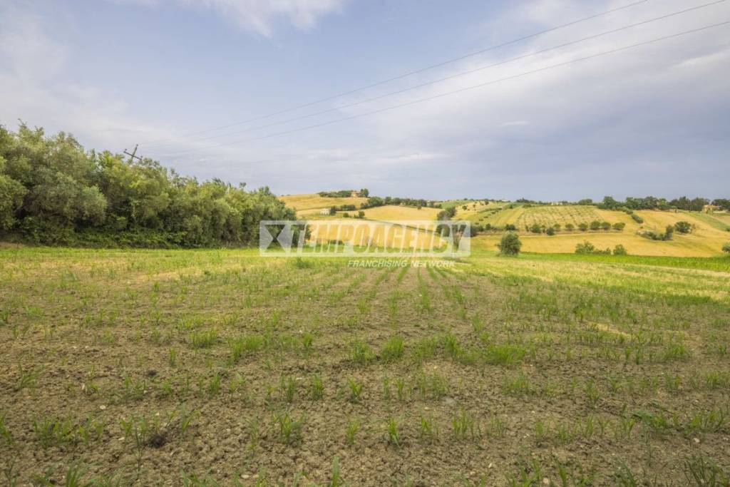 terreno agricolo in vendita a Morrovalle in zona Santa Lucia