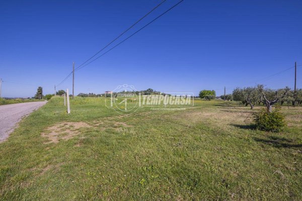 terreno agricolo in vendita a Morrovalle in zona Passionisti