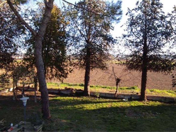 appartamento in vendita a Morrovalle in zona Trodica