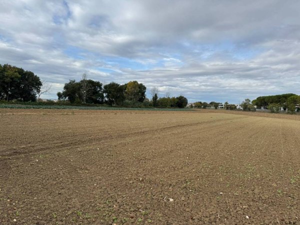 terreno agricolo in vendita a Morrovalle in zona Trodica