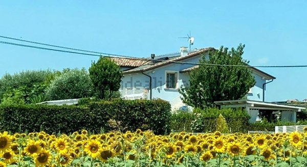 appartamento in vendita a Morrovalle