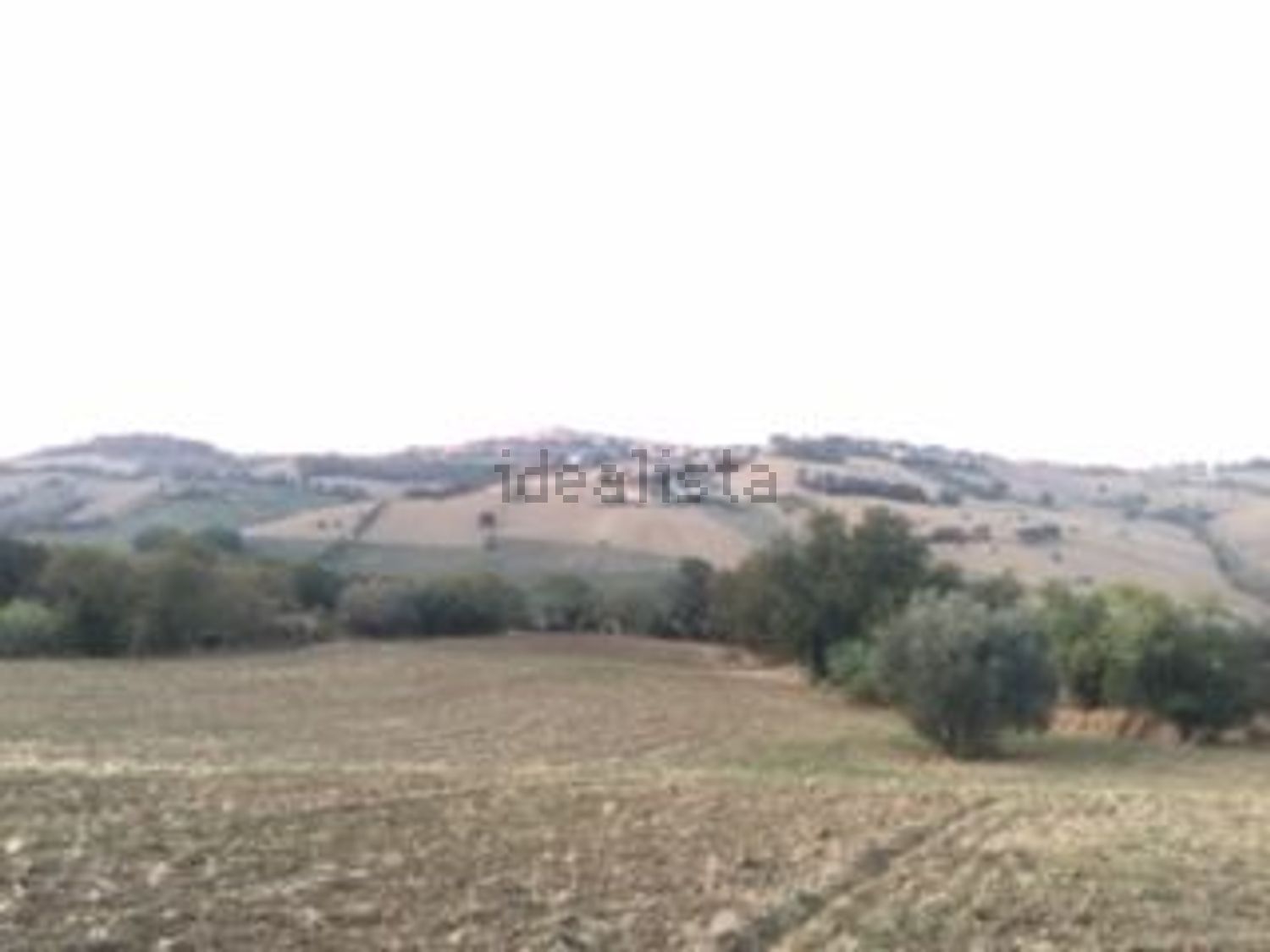 terreno agricolo in vendita a Morrovalle