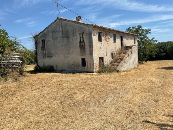 esavano in vendita a Morrovalle