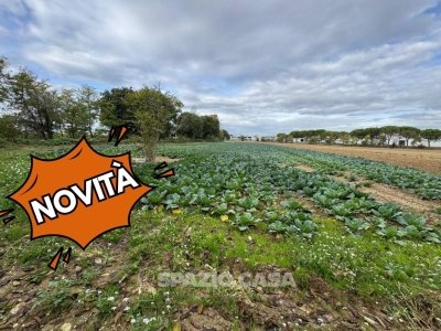 terreno agricolo in vendita a Morrovalle in zona Trodica
