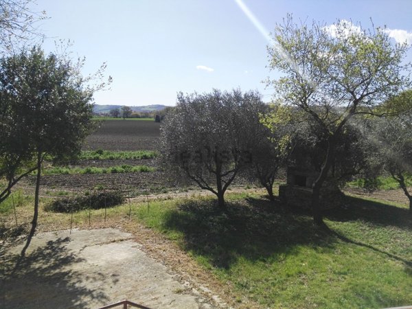 terreno agricolo in vendita a Morrovalle in zona Trodica
