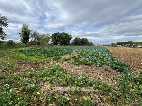 terreno agricolo in vendita a Morrovalle in zona Trodica
