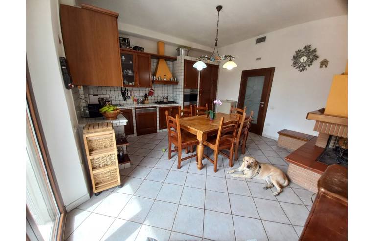 appartamento in vendita a Morrovalle in zona Trodica