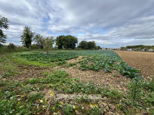 terreno agricolo in vendita a Morrovalle in zona Trodica