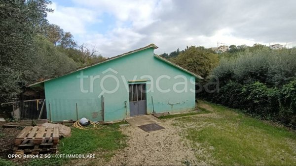terreno agricolo in vendita a Morrovalle in zona Passionisti