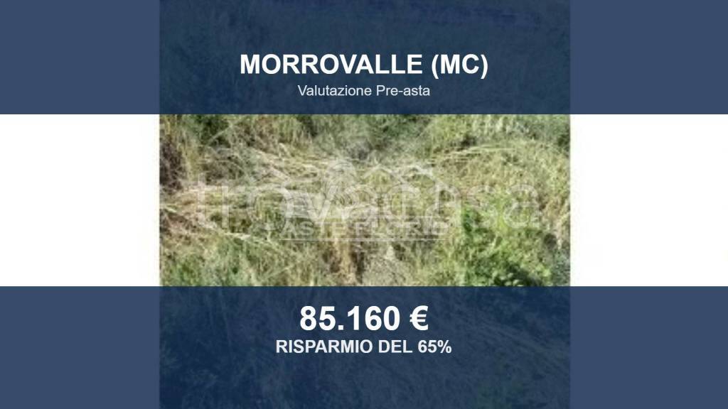 terreno agricolo in vendita a Morrovalle in zona Trodica