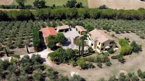 casa indipendente in vendita a Morrovalle in zona Cunicchio