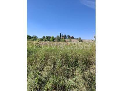 terreno agricolo in vendita a Morrovalle in zona Trodica