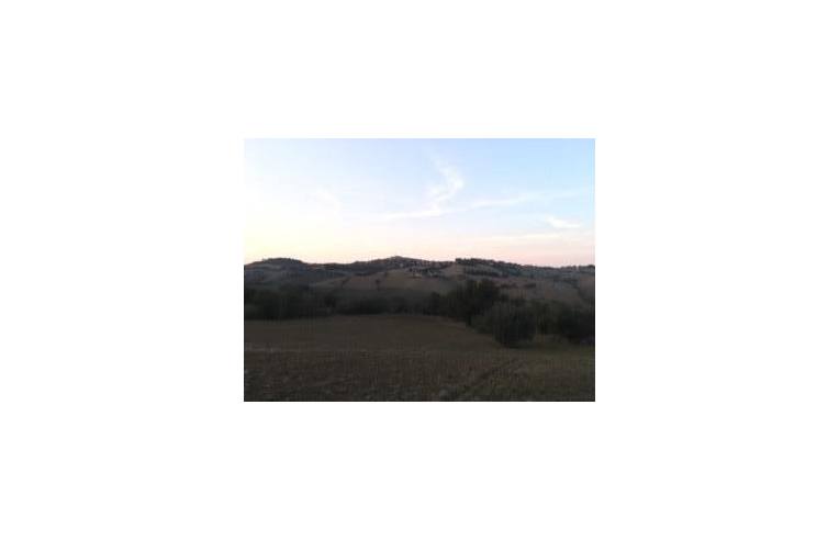 terreno agricolo in vendita a Morrovalle