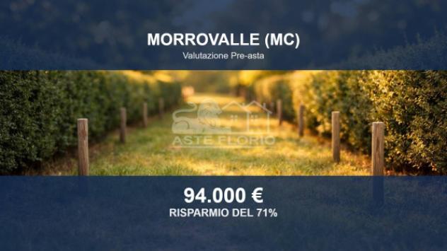 terreno agricolo in vendita a Morrovalle