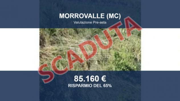 terreno agricolo in vendita a Morrovalle