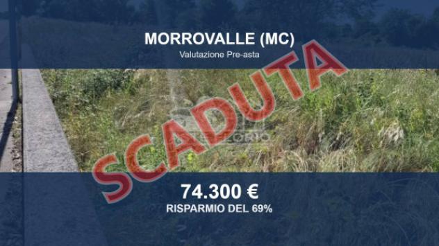 terreno agricolo in vendita a Morrovalle