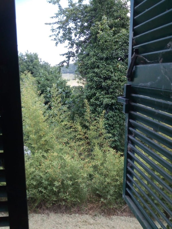 appartamento in vendita a Penna San Giovanni