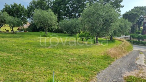 terreno agricolo in vendita a Petriolo
