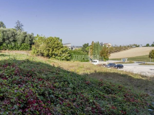 terreno agricolo in vendita a Petriolo