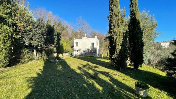 terreno agricolo in vendita a Petriolo