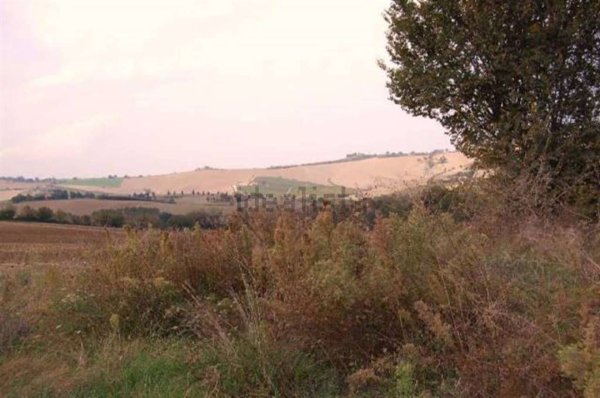 esavano in vendita a Petriolo