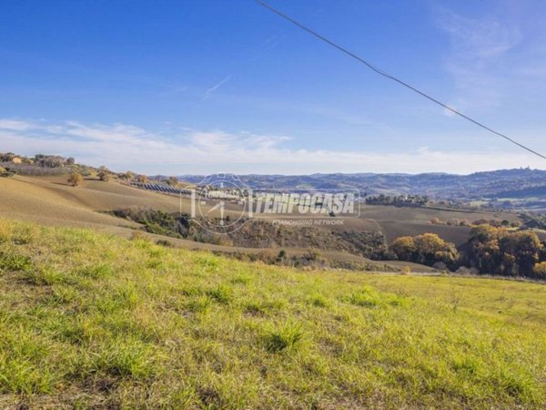 terreno agricolo in vendita a Petriolo