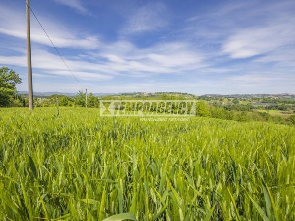 terreno agricolo in vendita a Petriolo