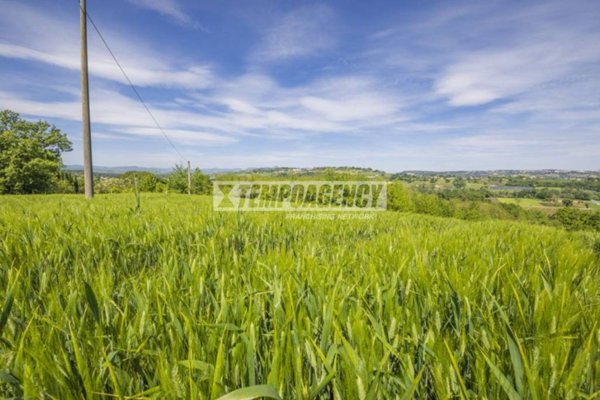 terreno agricolo in vendita a Petriolo