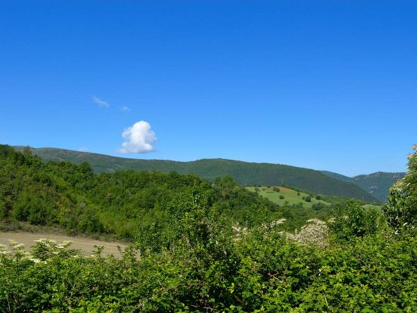 terreno agricolo in vendita a Pieve Torina
