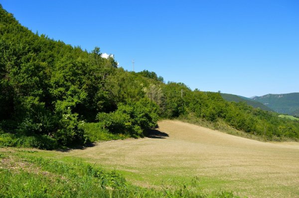 casale in vendita a Pieve Torina