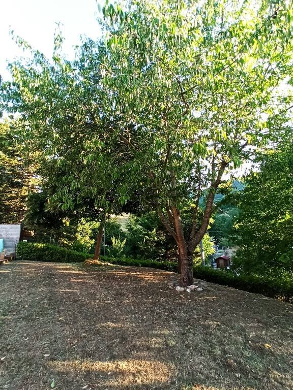 casa indipendente in vendita a Pieve Torina
