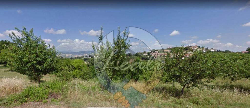 terreno agricolo in vendita a Pollenza