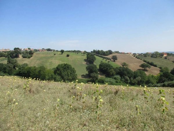 terreno agricolo in vendita a Pollenza