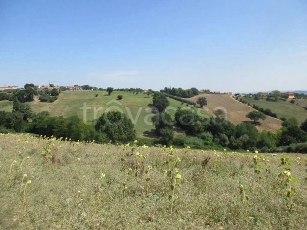 locale di sgombero in vendita a Pollenza